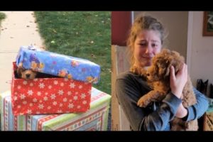 Christmas Puppy Surprise 2021 - Kids getting Puppy as a Christmas Present