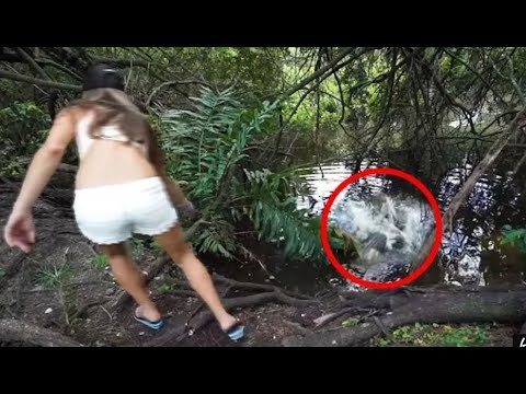 Crocodile Encounters You Should Avoid | मगरमच्छ के खतरनाक हमले | #crocodileattack #crocodile