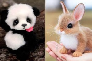 Cute baby animals Videos Compilation cute moment of the animals - Cutest Animals #21