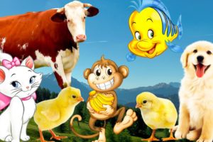 Cute chicks, cats playing, cows eating grass with animals in the field