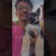 Cutest puppy Nonu the husky | review reloaded | #short