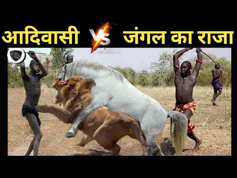 Deadliest tribes vs Lion | jungle ke aadivasi | Most dangerous wild Animal Fights