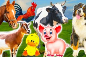 Discover familiar animals: pig, duck, cow, dog, hippo, parrot - Part 6