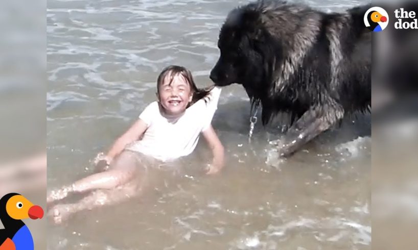 Dog 'Saves' His Little Girl From The Ocean | The Dodo