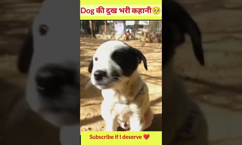 Dog की दुख भरी कहानी 🥺😭🙏 | #shorts #doglover #atulsinghparmar