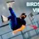 Drones Giving A Birds Eye View Of A Halfpipe & More | People Are Awesome