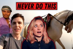 EQUESTRIAN REACTS TO INSANE HORSE SCAM