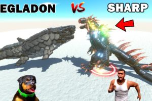 FRANKLIN SHARP Vs CHOP MEGLADON in Animal Revolt Battle Simulator Hindi | Chop Fights Franklin