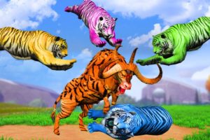 Giant Tiger Buffalo Vs Zombie Tigers Attack Baby Cows Animal Fights - Woolly Mammoth Saves Cows