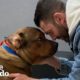 Guy Promises He's Not Going To Keep His Foster Dog... | The Dodo Foster Diaries