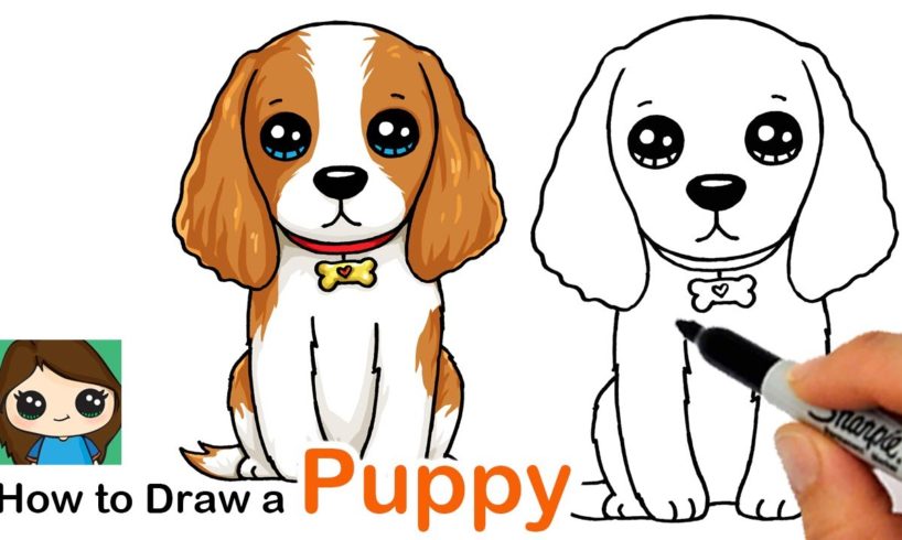 How to Draw a Cocker Spaniel Puppy Dog Easy