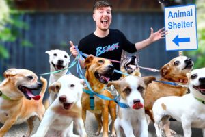 I Adopted EVERY Dog In A Dog Shelter