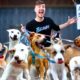 I Adopted EVERY Dog In A Dog Shelter