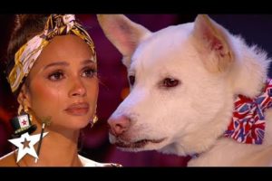 Judges Cry Over Emotional Dog Magic Act on Britain's Got Talent 2020 | Magician's Got Talent