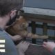 Live Rescue: Trapped Cat is Freed by Animal Rescue (Season 3) | A&E