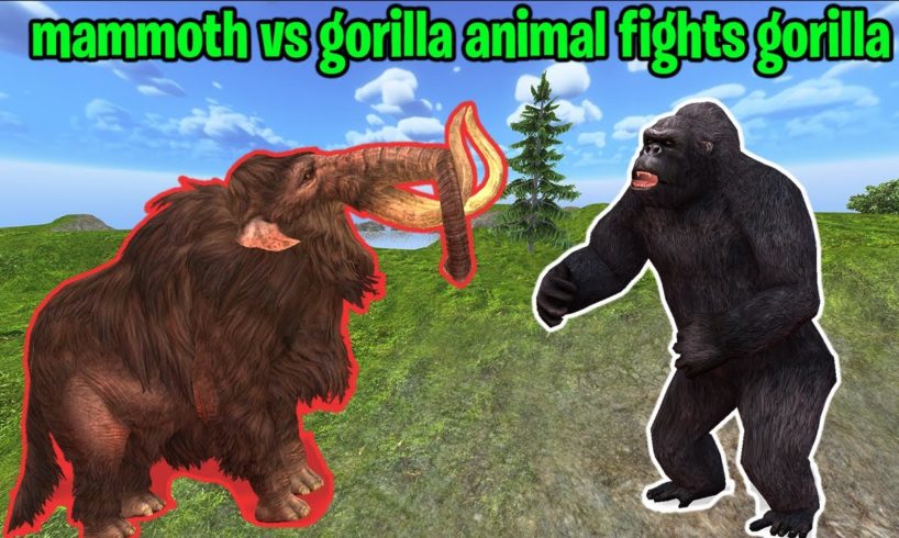 Mammoth vs Gorilla animal fights gorilla - To Seize Territory