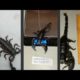 Man Hunter Playing With Most Poisonous Venomous Black Emperor Scorpion | Reptiles Animals  Buy Sell