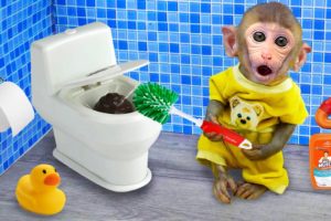 Monkey baby Bi Bon cleans the toilet and living room, plays with Cheese on the farm | Animal HT