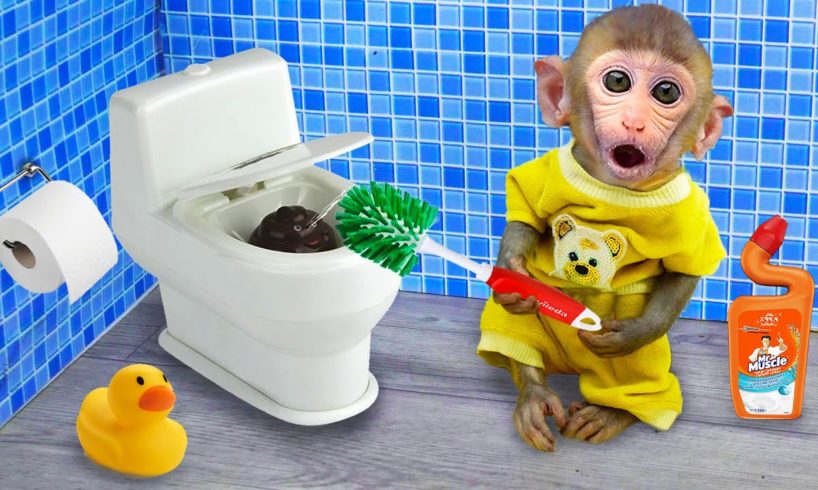 Monkey baby Bi Bon cleans the toilet and living room, plays with Cheese on the farm | Animal HT