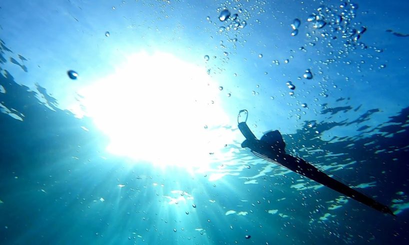 Near-death experience while spearfishing. Scary shallow-water blackout.