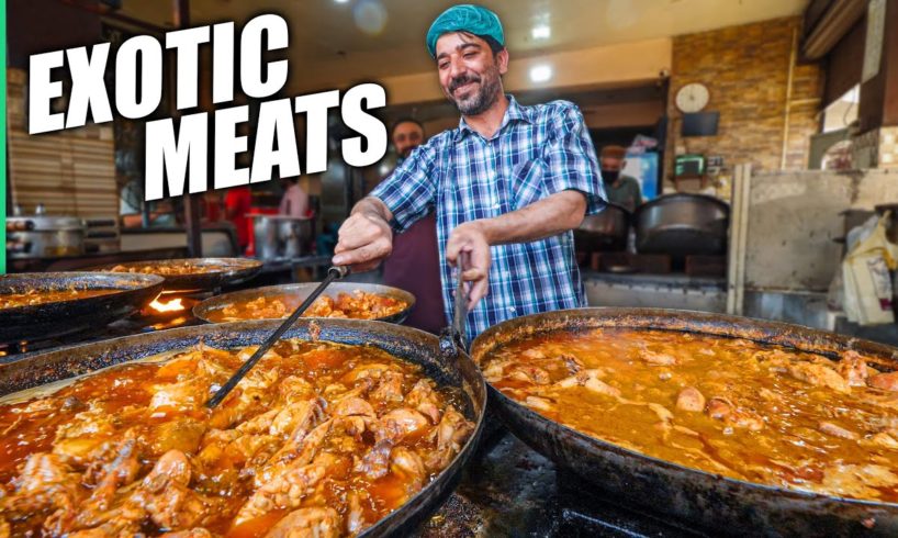 Pakistan’s Ultra Bizarre Street Food!! Exotic Meats of Lahore!!