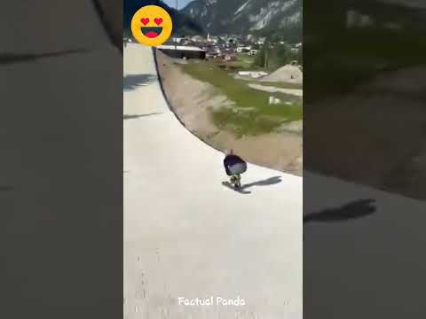 People are awesome #7 #shorts #viral2022 #peopleareawesome #talent #amazingpeople