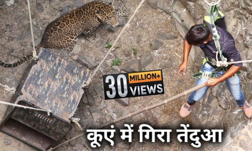 Playing on his life, he took out the leopard that fell in the well
