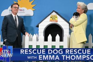 Rescue Dog Rescue with Emma Thompson