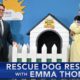 Rescue Dog Rescue with Emma Thompson