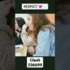 Respect viral tiktok memes like a boss compilations #shorts