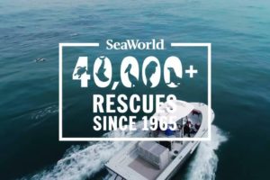 SeaWorld Rescue Teams Surpass 40,000 Animal Rescues