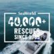 SeaWorld Rescue Teams Surpass 40,000 Animal Rescues