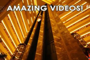 The Best Videos Compilation - Part 04