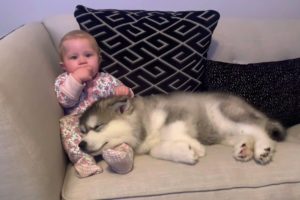 The Best Year Of Our Lives! Baby And Puppy Growing Up Together! (Cutest Ever!!)