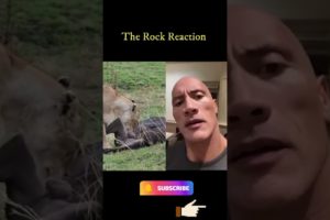 The Rock Reaction Animal Fights Best Scene | DGMovies - The Rock reaction #shorts