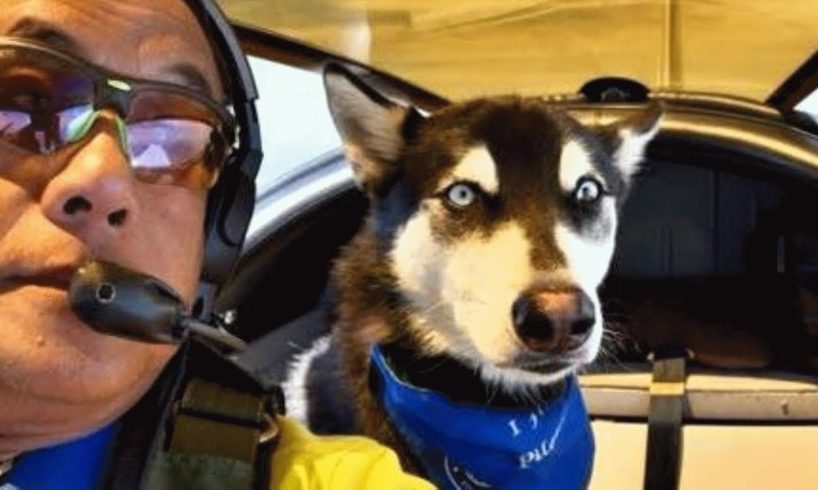 This man used to fly humans. Now he flies shelter dogs.