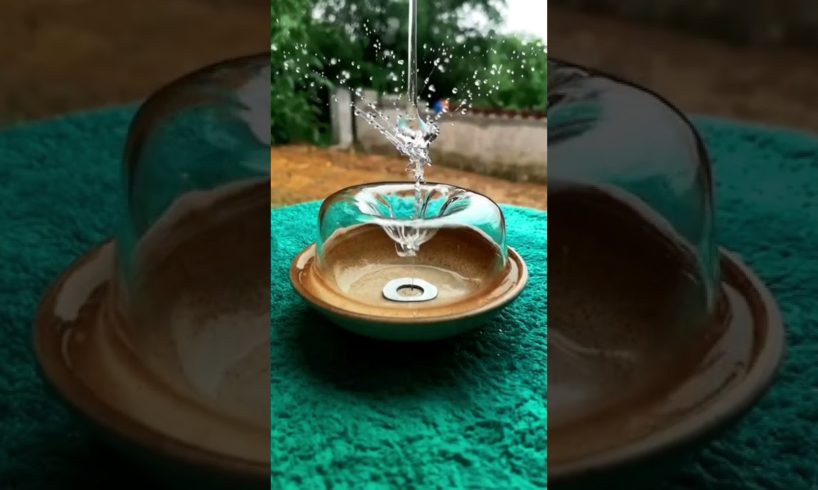 Top 1Video of 2022|People are Awesome best of the yera#shorts