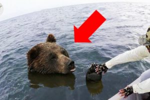 UNBELIEVABLE ANIMAL RESCUES THAT WILL RESTORE YOUR FAITH IN HUMANITY