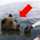 UNBELIEVABLE ANIMAL RESCUES THAT WILL RESTORE YOUR FAITH IN HUMANITY