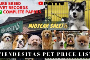 UPDATED TIENDESITAS PET PRICE LIST | CUTEST DOGS😍 | MIDYEAR SALE! **MUST WATCH**