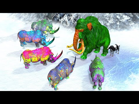 Wild Animal Fights Mammoth lion cow genda tiger || Animals wild Fight