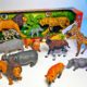 Wild Animals, African Animals Set - Lion, Tiger, Elephant, Chimpanzee, Hyena, Rhinoceros, Hippo