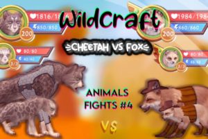 WildCraft: Animals fights #4 🦊fox vs cheetah🐆