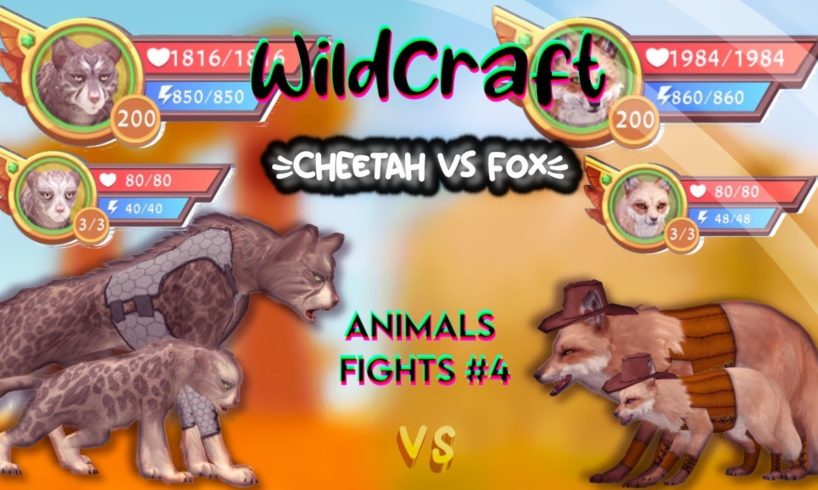 WildCraft: Animals fights #4 🦊fox vs cheetah🐆