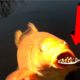 You will be surprised to see, Fish eat food with a spoon | Animal Effects.