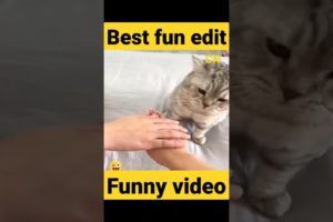 best funny videos 🤣 funny fails 2022 #shorts #funnyvideos #funnyfails