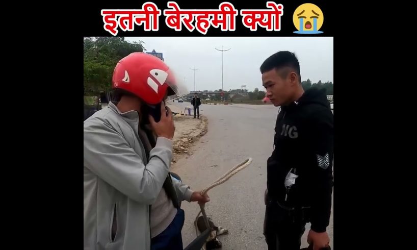 इतनी बेरहमी क्यों #shorts #humanity#dog #dogs #dogrescue #Catrescue