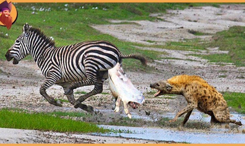 15 Top Worst Cruel Fighting Moments Of Wild Animals