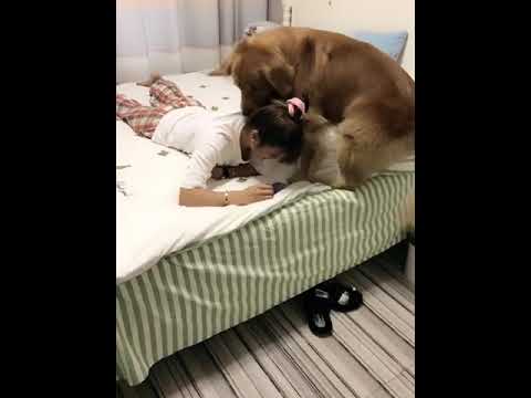 Funniest & Cutest Puppies - Funny Puppy Videos | Cute and Funny Dog Videos | Minutes of Funny Puppy