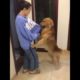 Funniest & Cutest Puppies - Funny Puppy Videos | Cute and Funny Dog Videos | Minutes of Funny Puppy